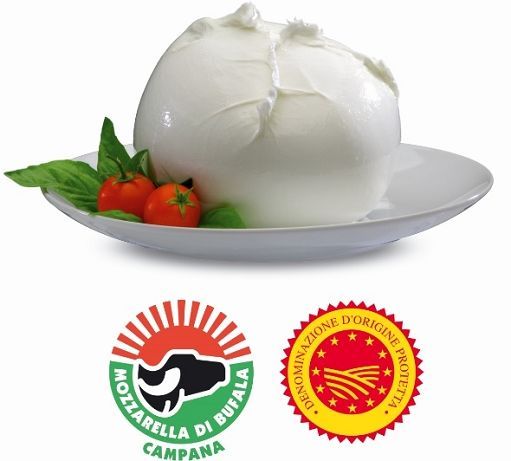 mozzarella bufala01