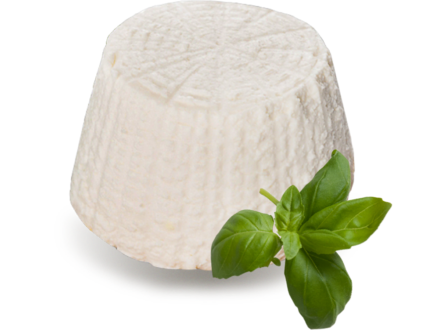 ricotta01